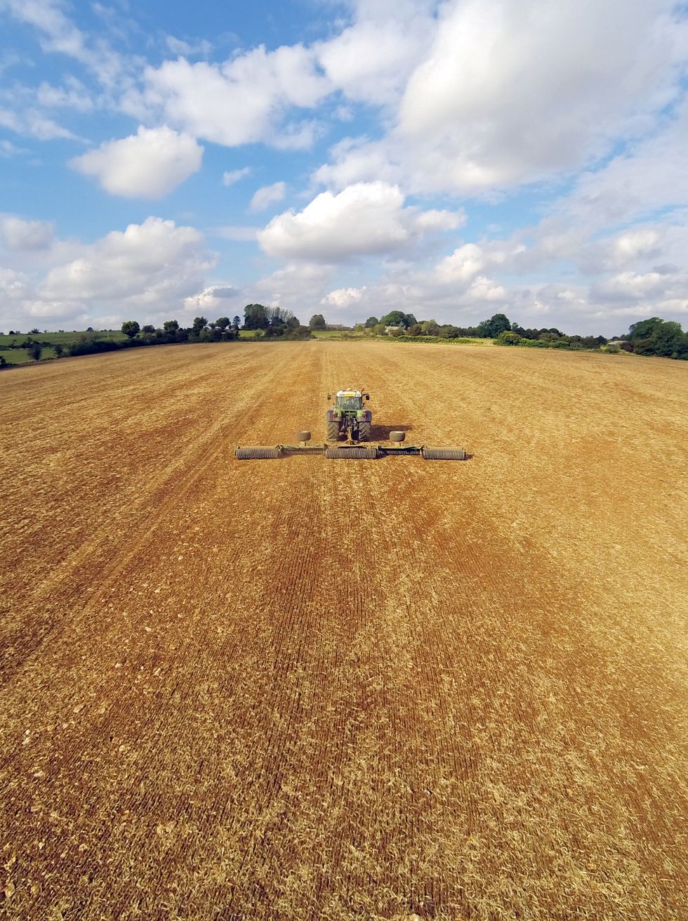 UK Farm