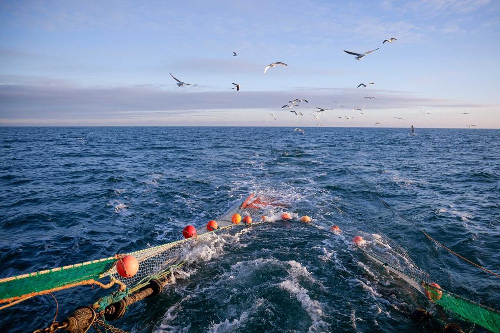 UK fishing