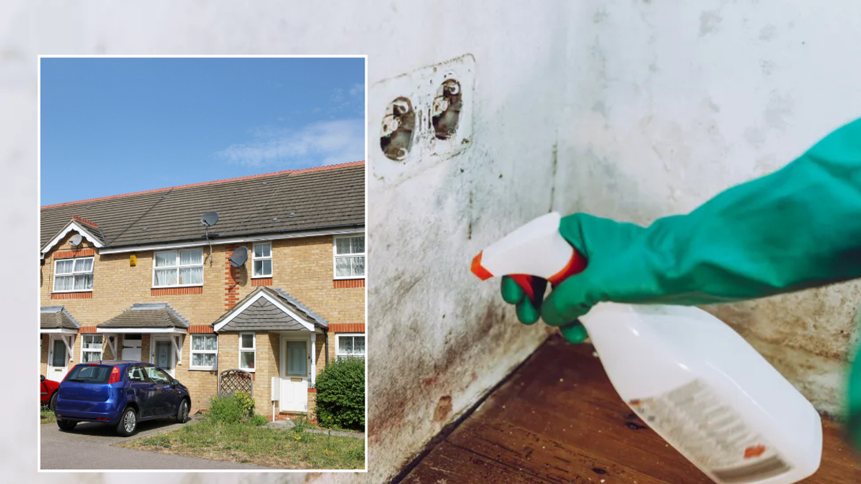 UK house / mould on wall
