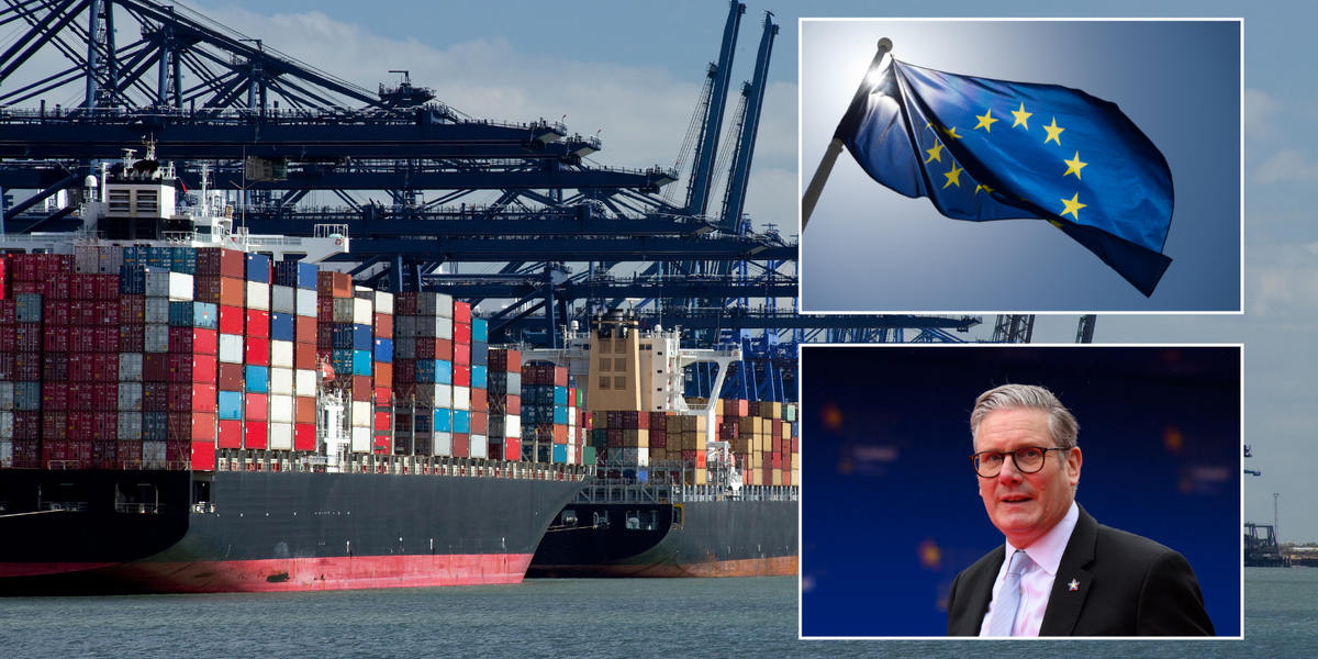 NextImg:Britain's ports demand £120m to compensate money WASTED on 'obsolete' Brexit border posts