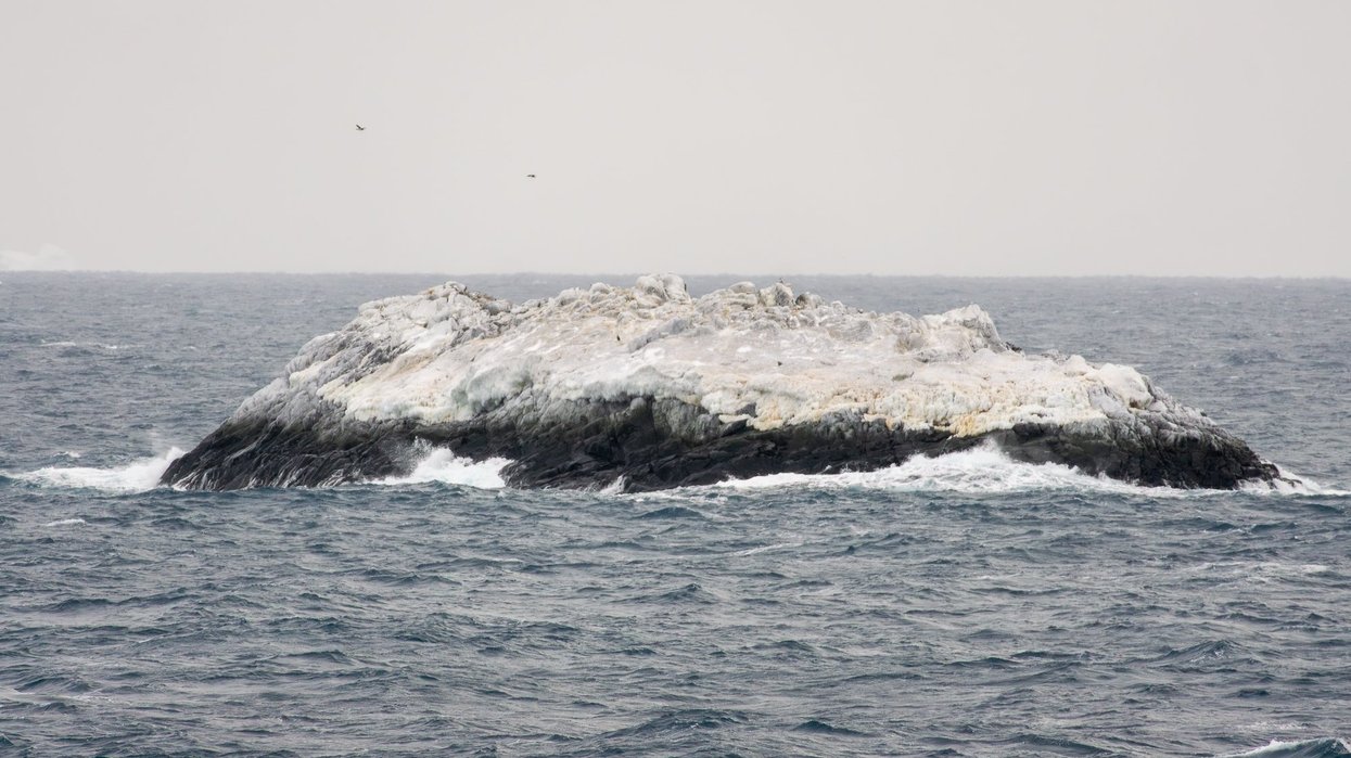 Uknown island on Antarctica's Weddell Sea