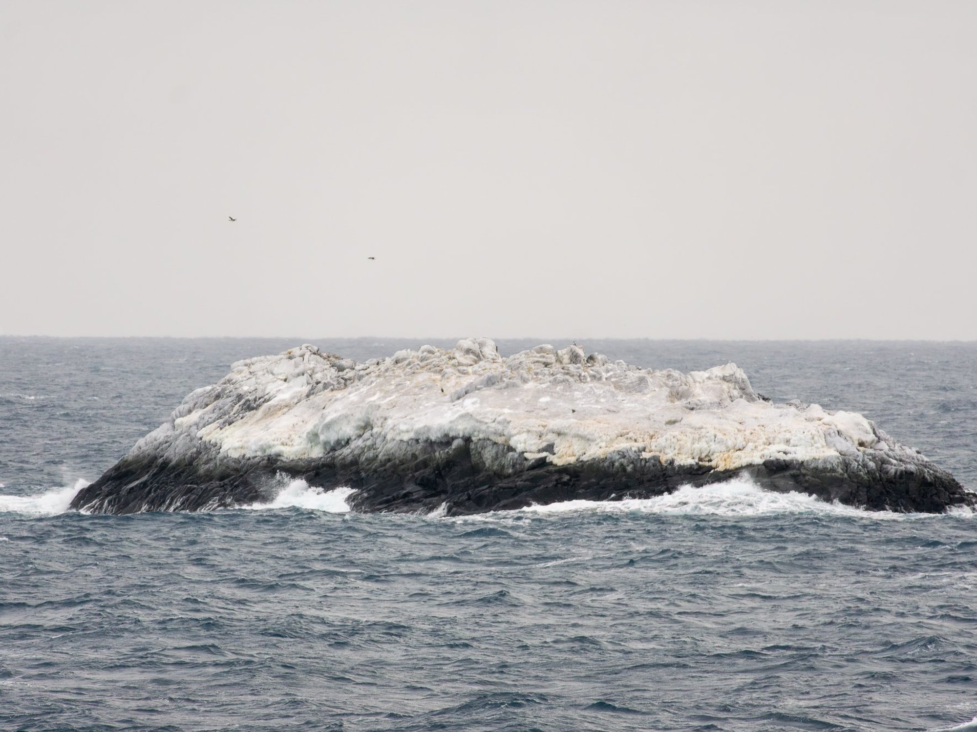Uknown island on Antarctica's Weddell Sea