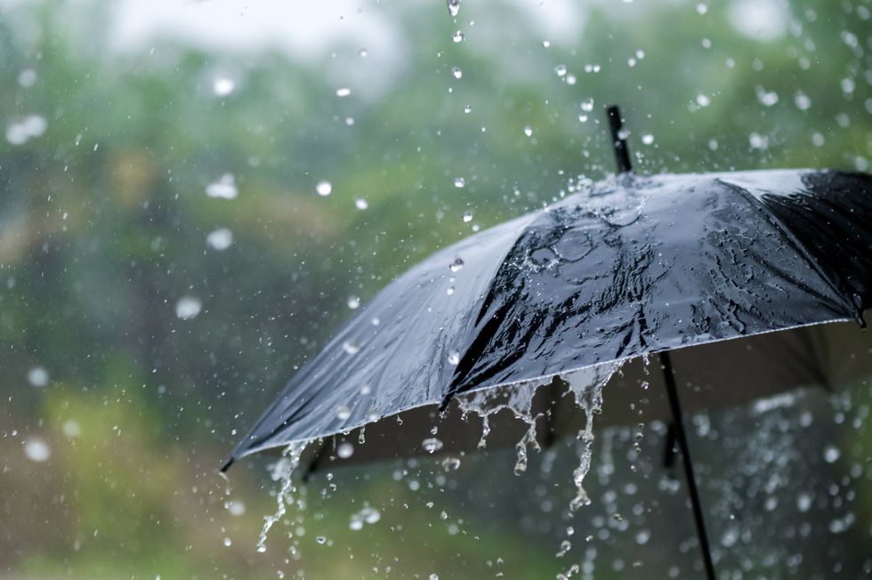 Umbrella