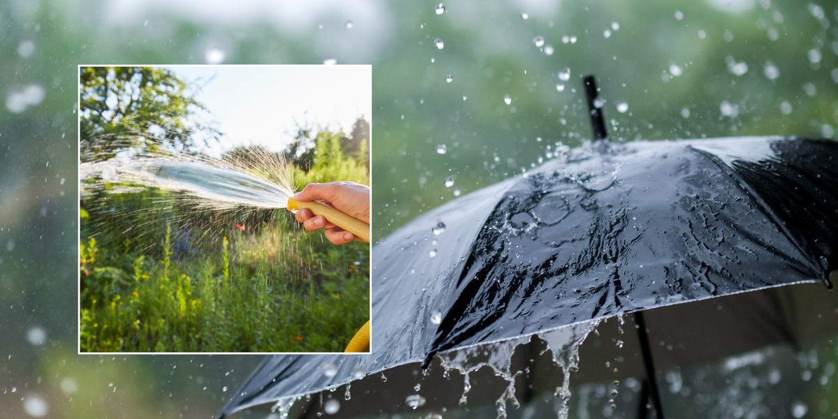 NextImg:Hosepipe ban will NOT be lifted despite thunderstorms bringing MONTH'S worth of rain