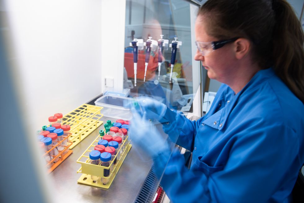 Undated handout photo issued by University of Oxford of a scientist working on Ebola vaccine which is about to enter Phase I trial to test in human volunteers. Clinical trials are getting under way for a new Ebola vaccine developed by the University of Oxford, designed to tackle the Zaire and Sudan types of Ebola - which together have caused nearly all Ebola outbreaks and deaths worldwide. Issue date: Thursday November 11, 2021.