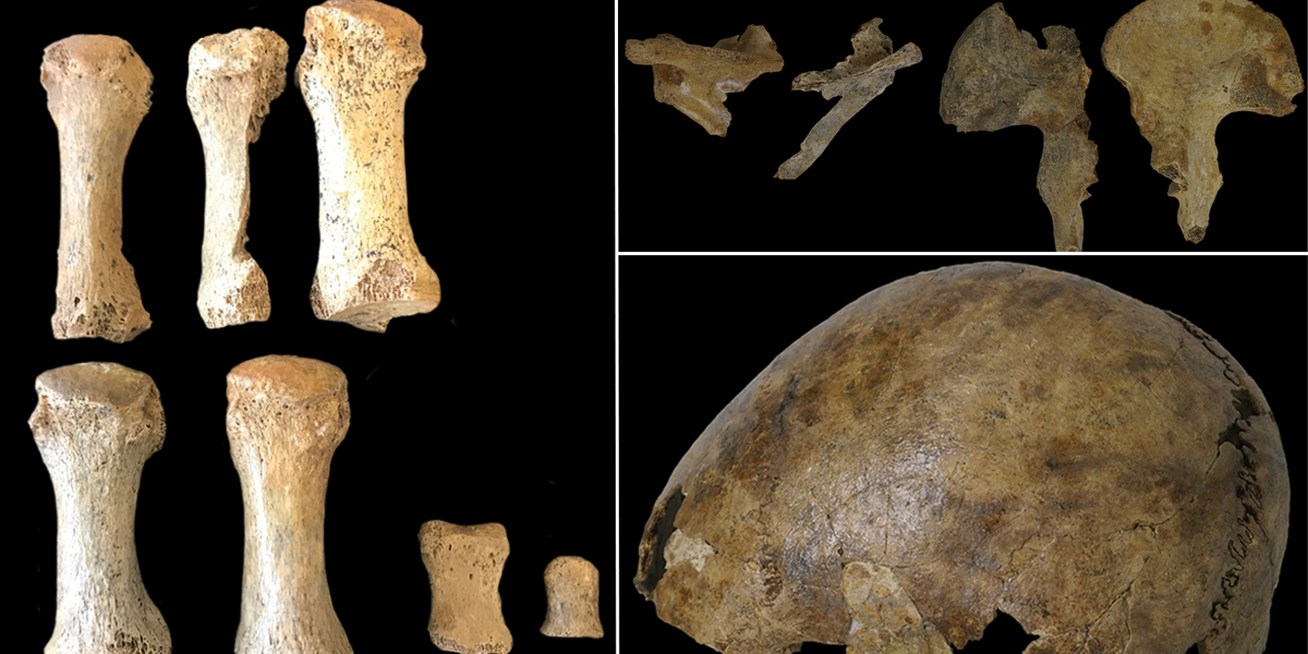NextImg:Archaeology: Experts finally crack mystery of skeleton made of bones from multiple people
