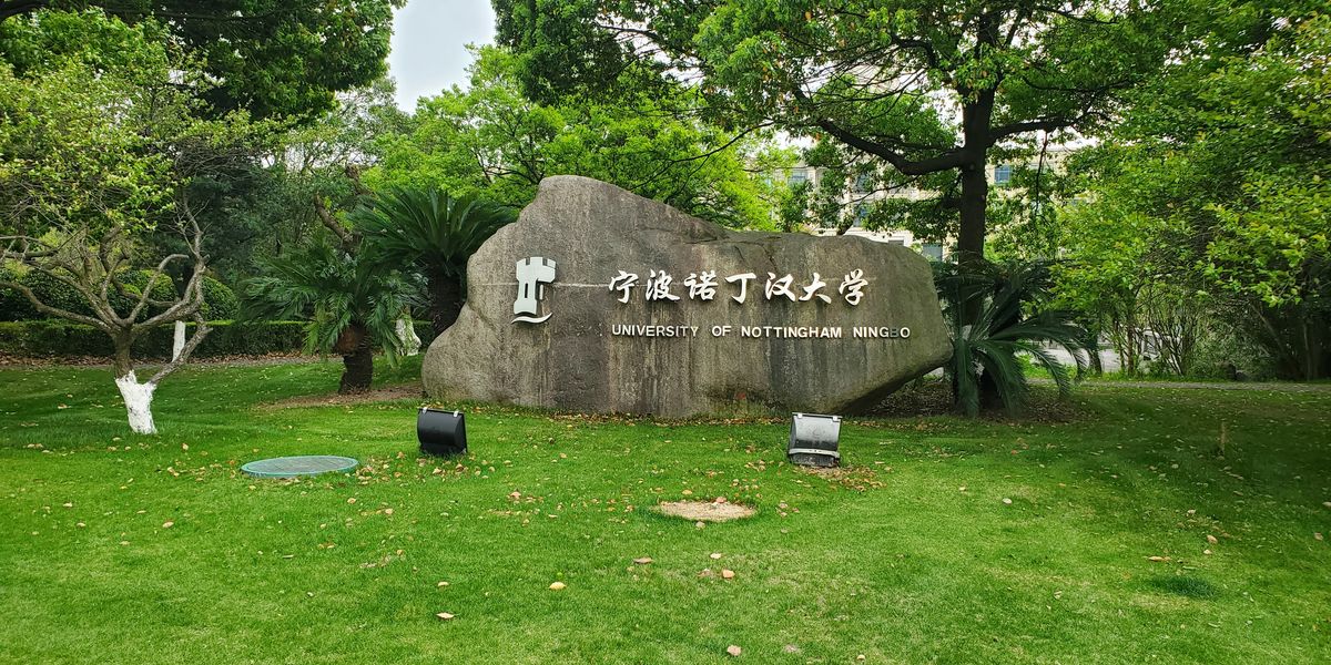 NextImg:Students at British university in China FORCED to pledge allegiance to Xi's Communist Party