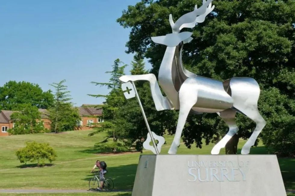 UNIVERSITY OF SURREY CAMPUS
