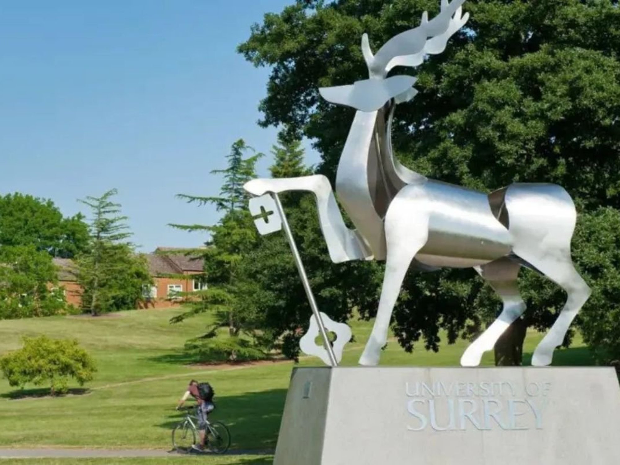 UNIVERSITY OF SURREY