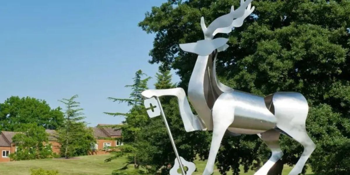 University of Surrey issues alert after student diagnosed with meningitis University of Surrey issues alert after student diagnosed with meningitis