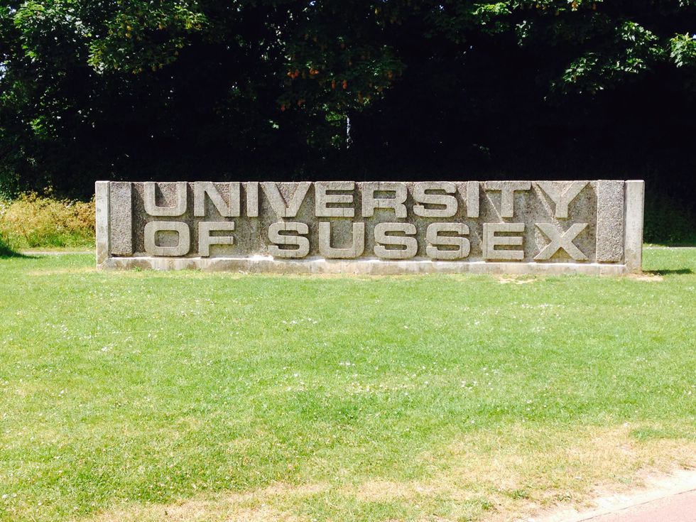 University of Sussex