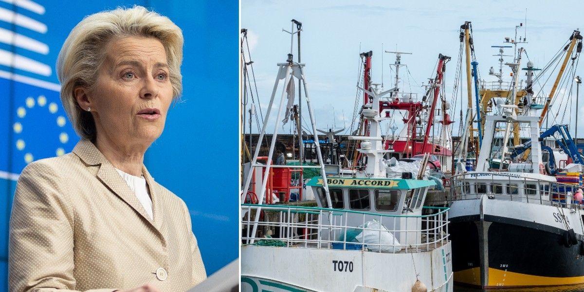 NextImg:Brussels aiming for Brexit revenge as EU threatens to BLOCK UK energy amid row over fishing rights
