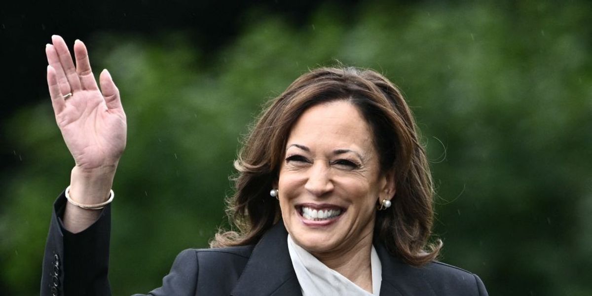 NextImg:Kamala Harris officially secured as Democratic nominee after 'no challenger qualified'