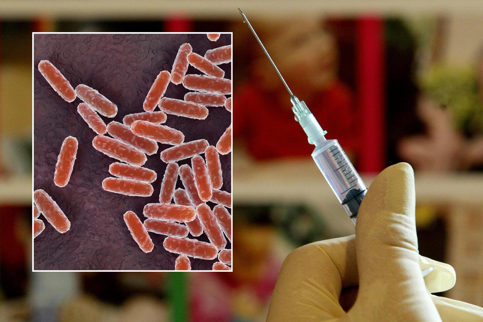 Black Death vaccine developed by Covid scientists amid fears disease could return and kill millions

 Aitrend
