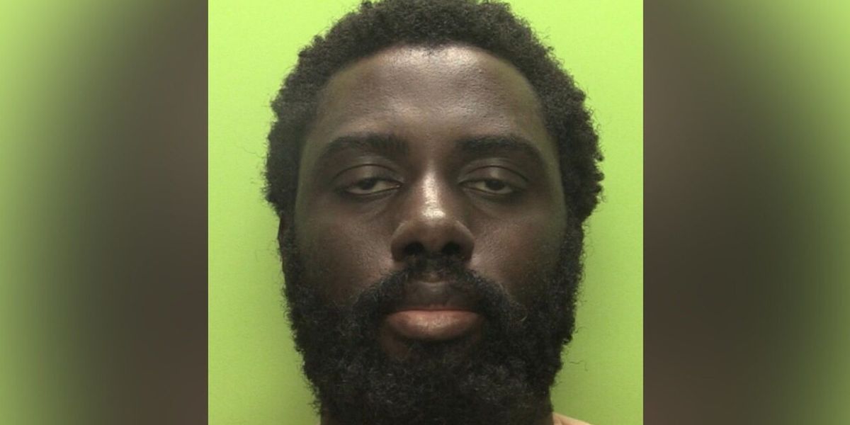 Nearly every mentally ill killer known to police but all STILL slipped through the cracks
