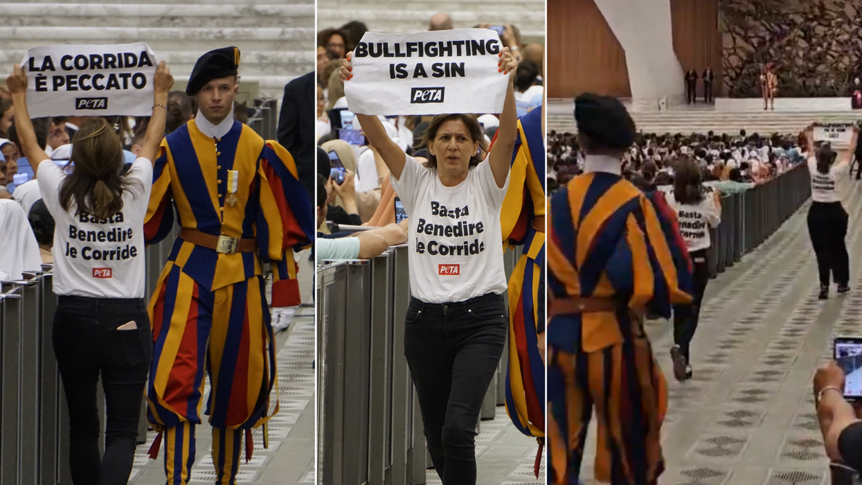 Vatican Peta protesters