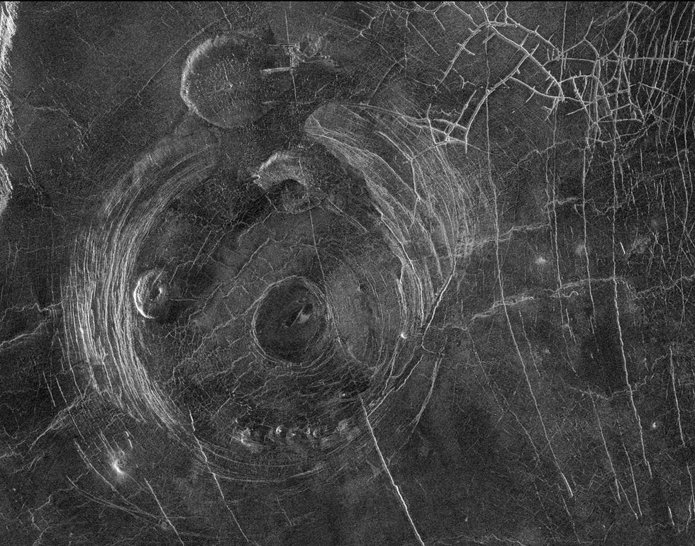 Venus coronae