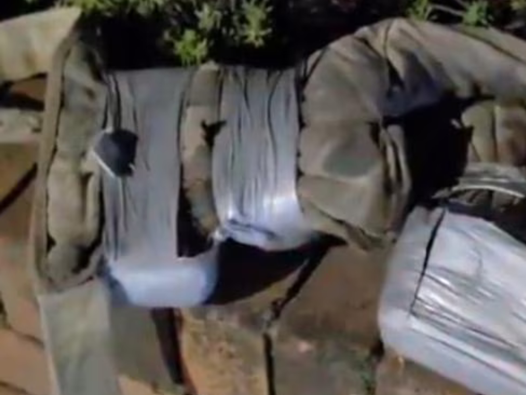 Vest discovered by Australian police at Bondi Junction