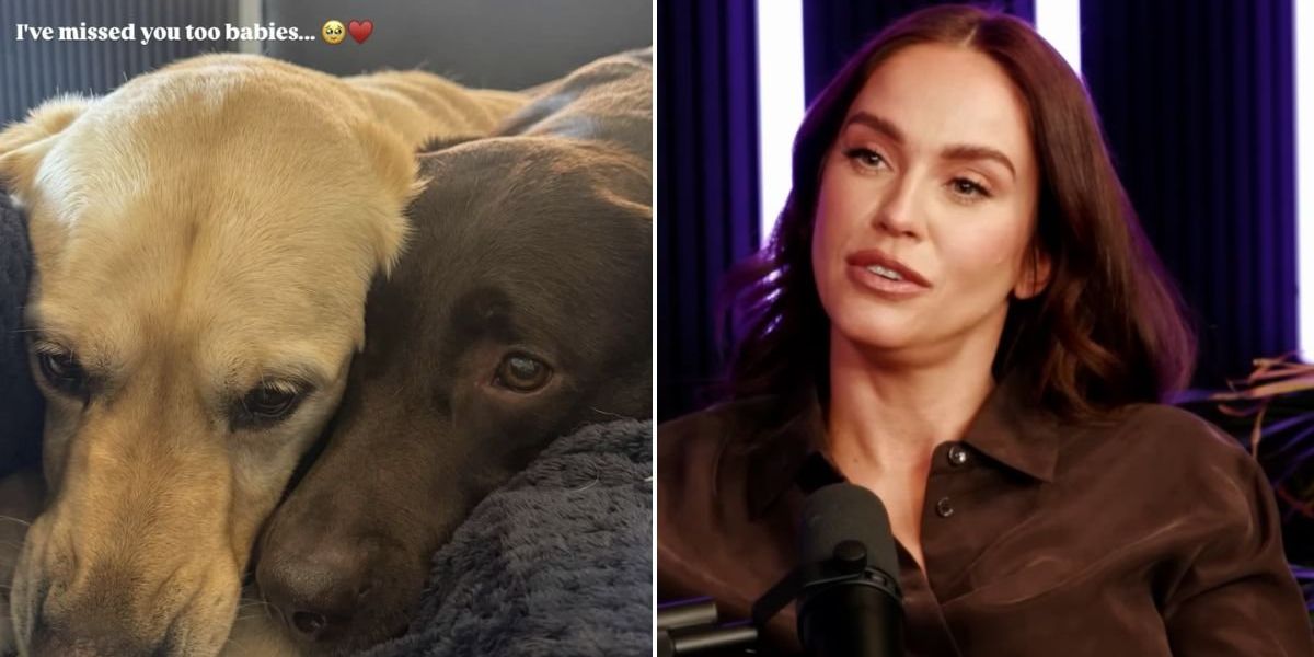 Vicky Pattinson slams ‘shameful’ Dubai expats abandoning pets amid Iran terror crisi Vicky Pattinson slams ‘shameful’ Dubai expats abandoning pets amid Iran terror crisi