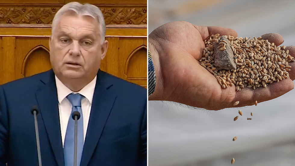 Viktor Orban and Hungarian grain