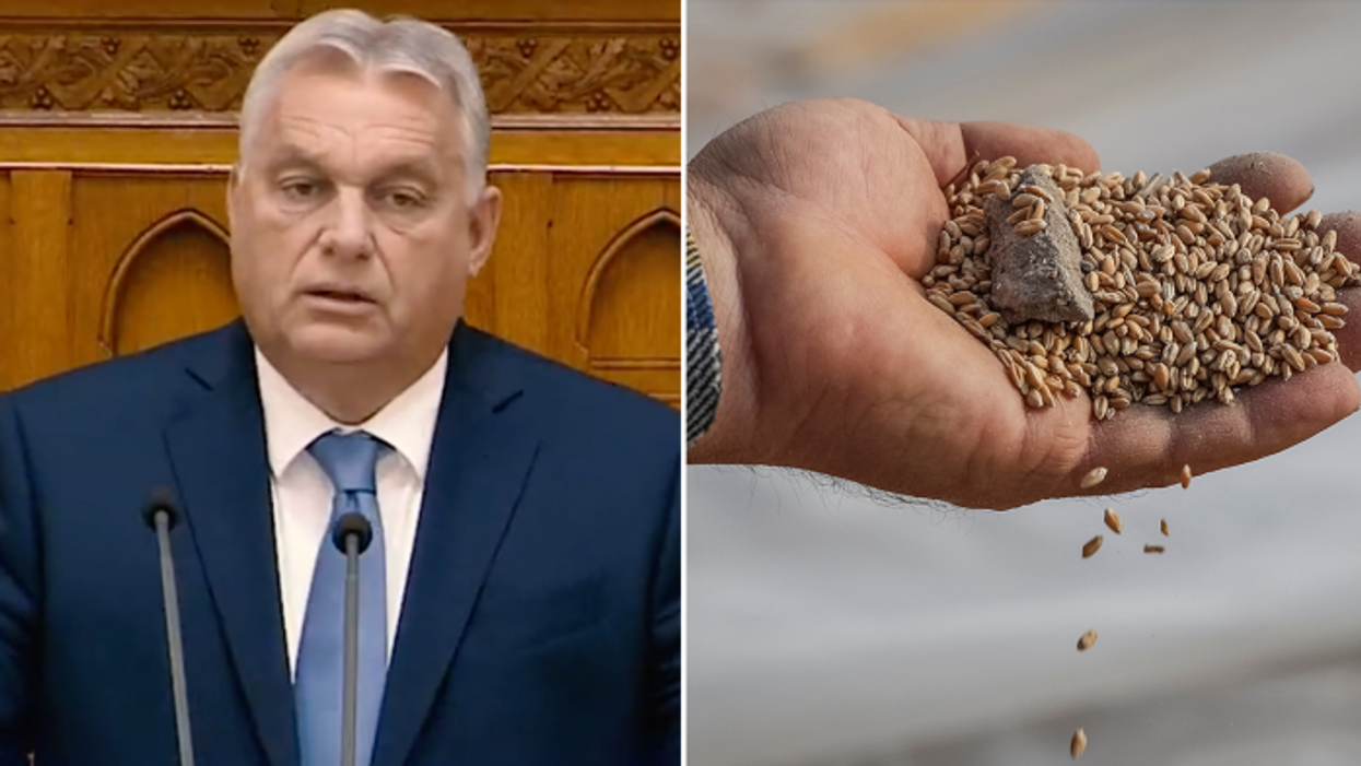 ‘We were CHEATED!’ Viktor Orban LOSES IT with Brussels as Slovakia, Poland and Hungary start huge rebellion