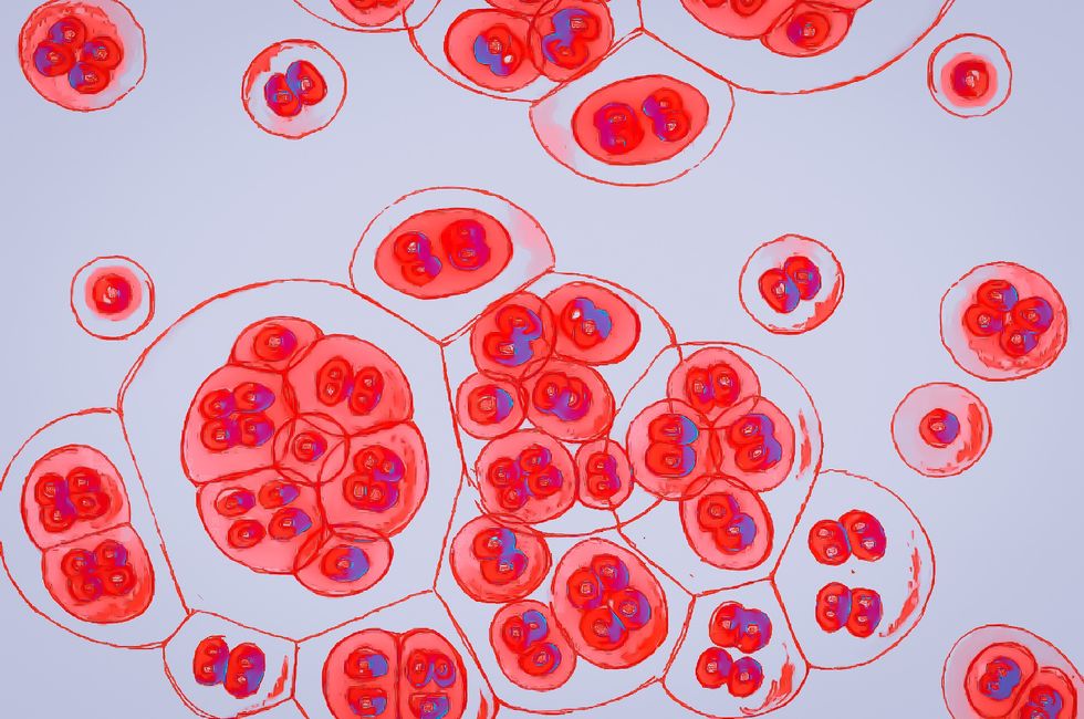 VIRUS CELLS AND BLOOD VIALS
