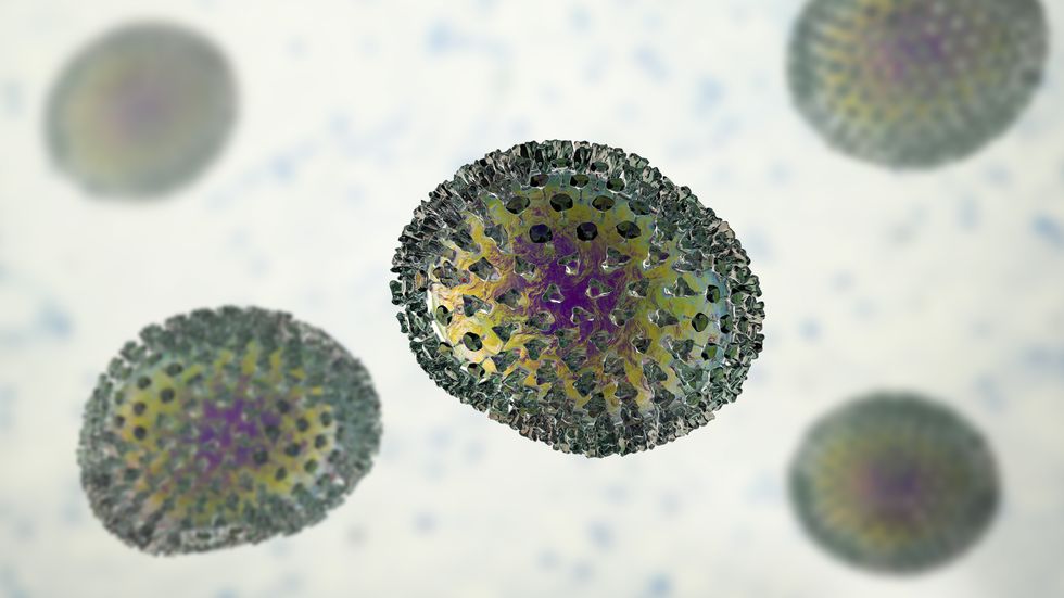 VIRUS ILLUSTRATION