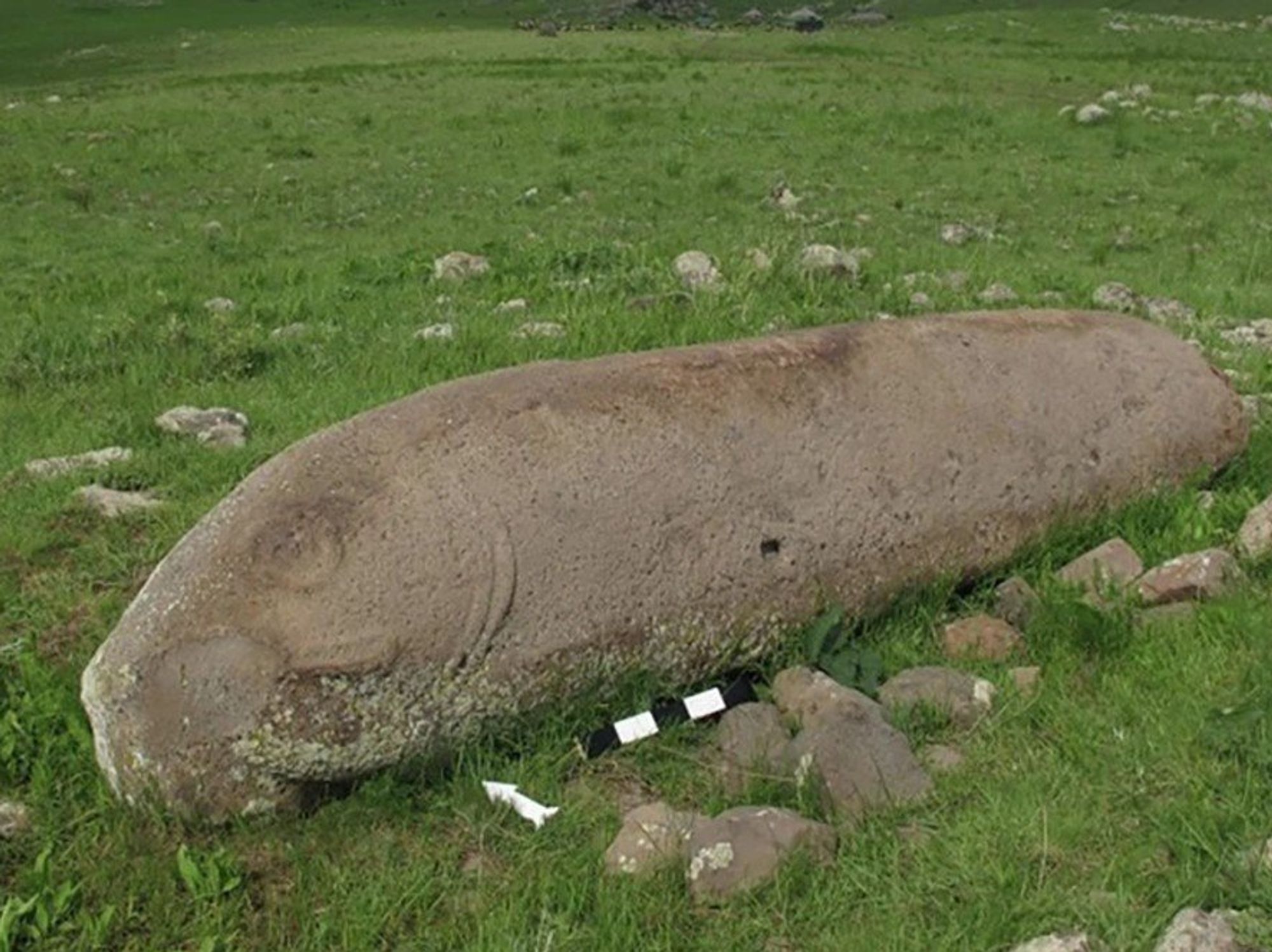 Vishaps in Armenian highlands