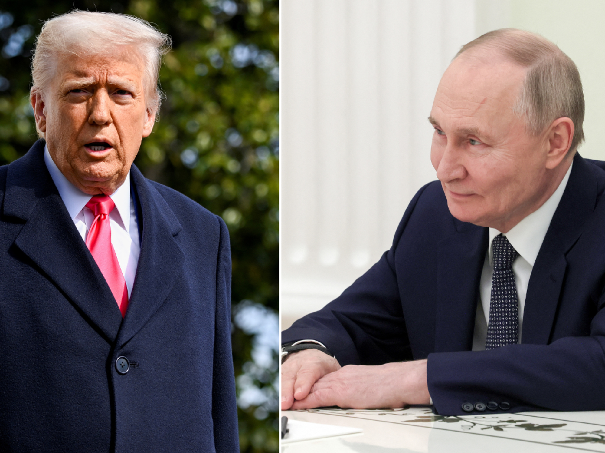 Vladimir Putin and Donald Trump