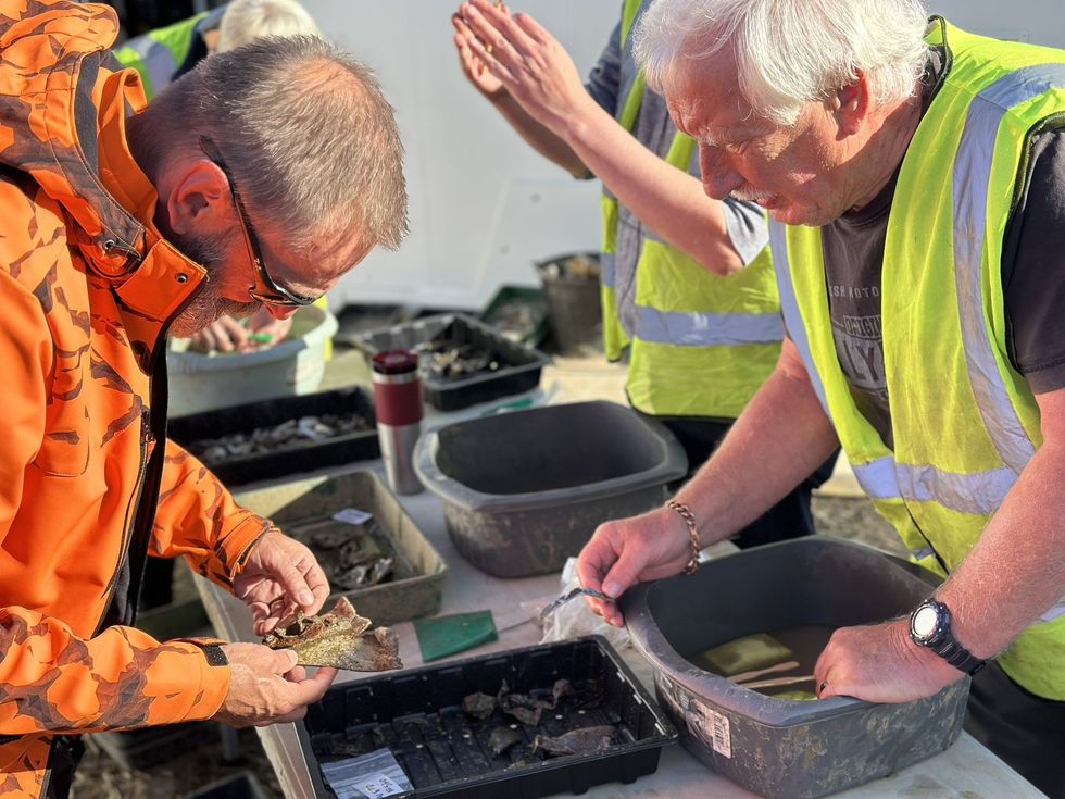 Volunteers helping with the dig