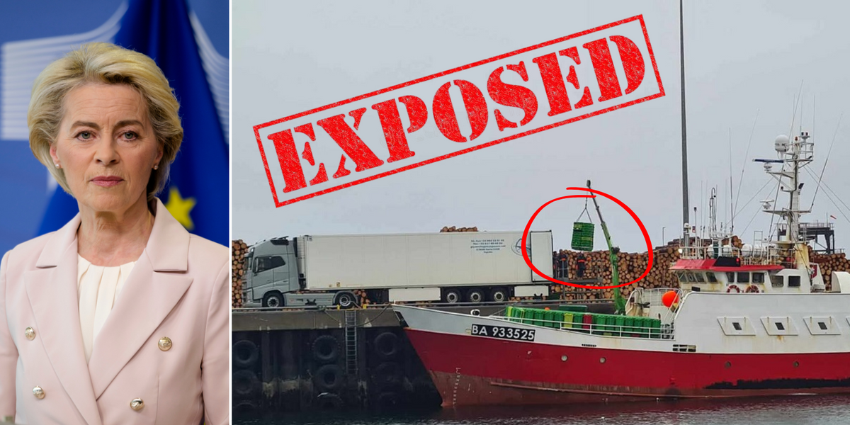 NextImg:EXPOSED: UK fishermen blow whistle as EU boats plunder UK seas and load up lorries for continent without checks