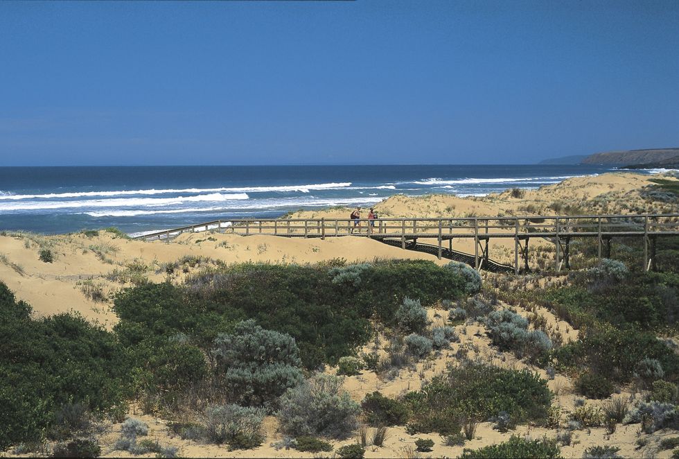 Waitpinga beach