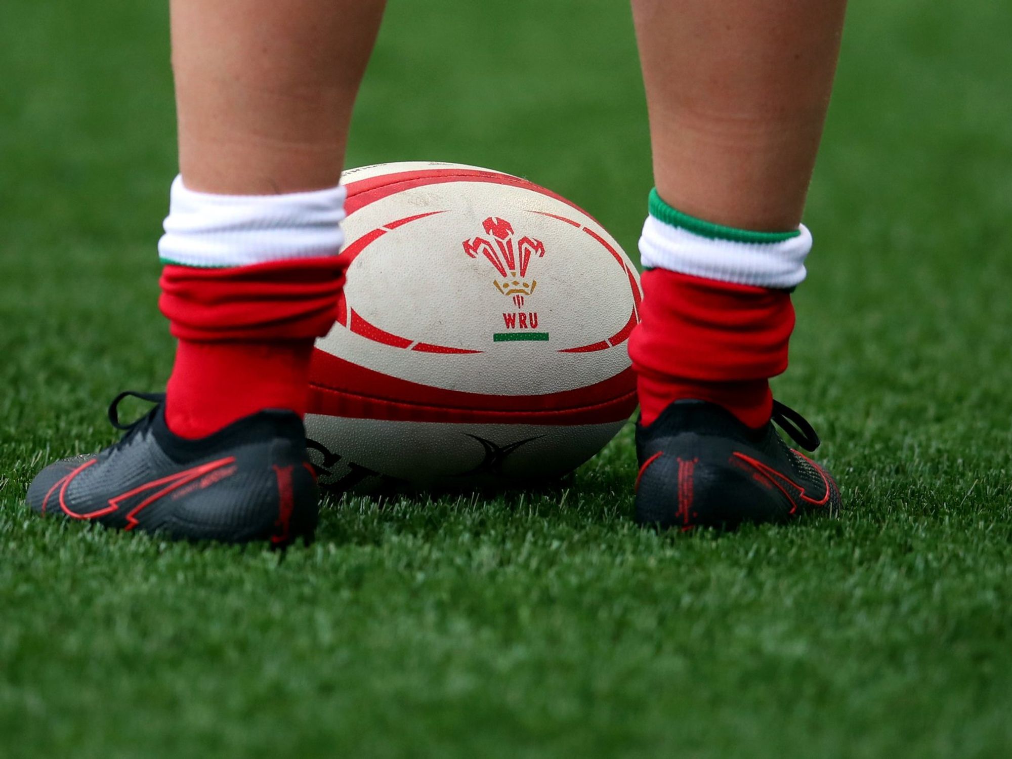 Wales Rugby Union