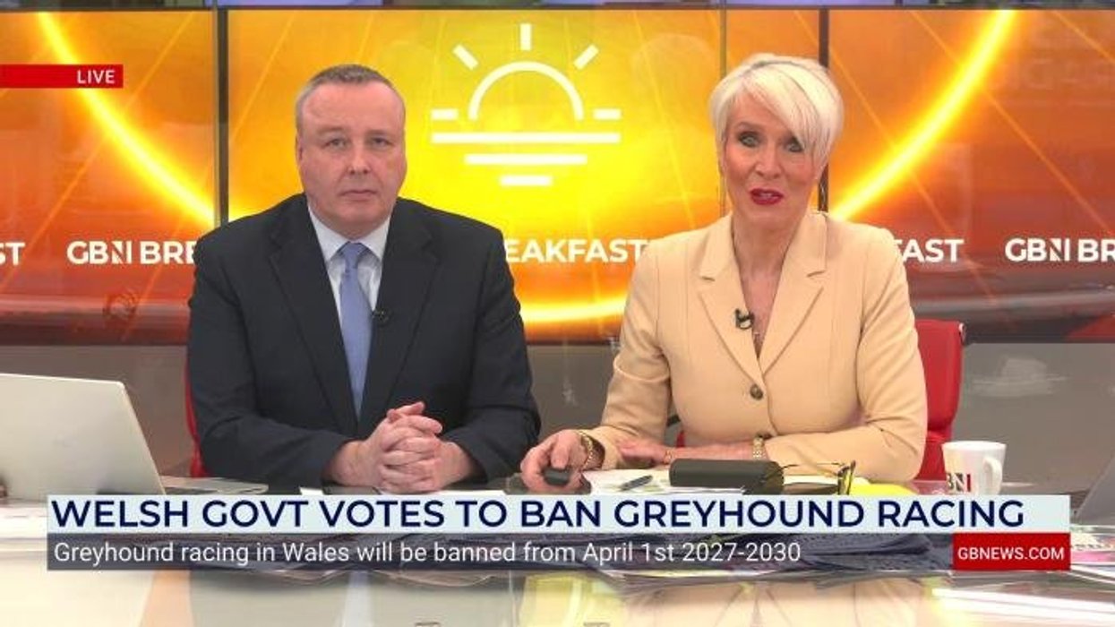 Wales to ban greyhound racing as track staff warn of job losses and 'devastating' impact