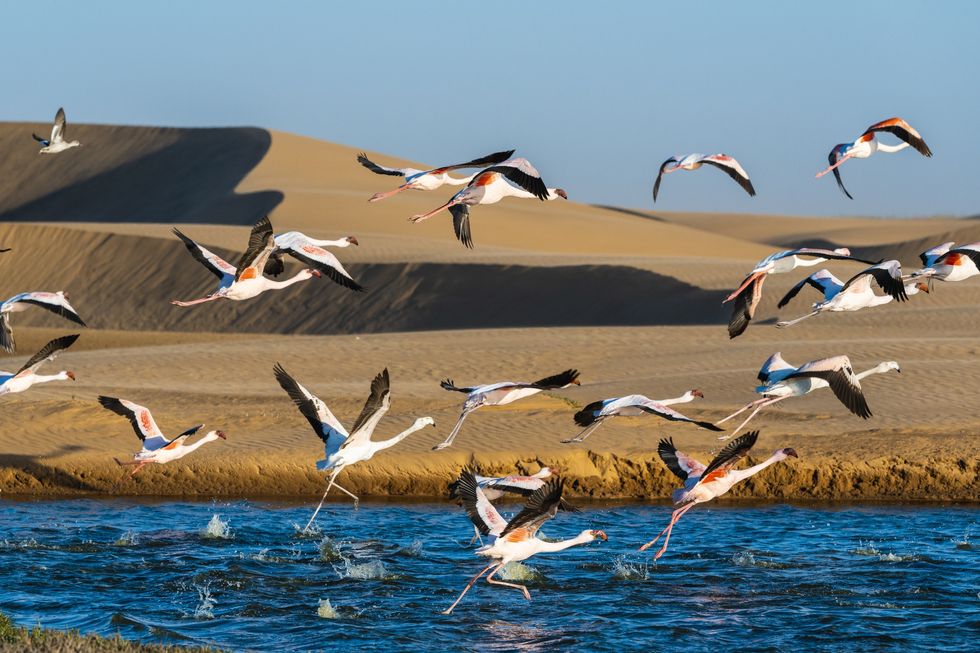 Walvis Bay, Namibia