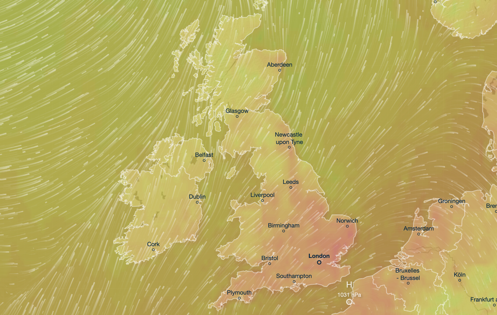 Warm temperatures
