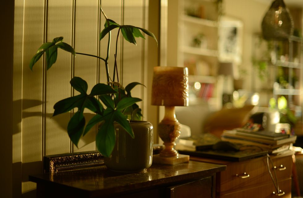 WARN TONED ROOM