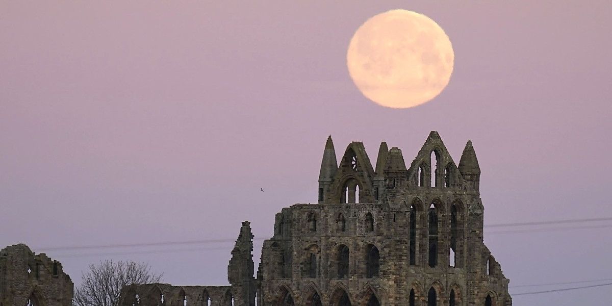 NextImg:How to see tonight's 'Wolf Moon' as UK stargazers to also catch rare Mars event