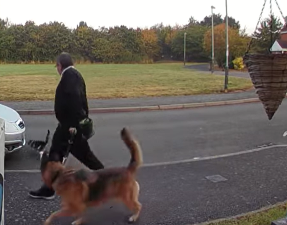 Warrington Police previously said that they had received a report of a man kicking a cat in the same area last month.