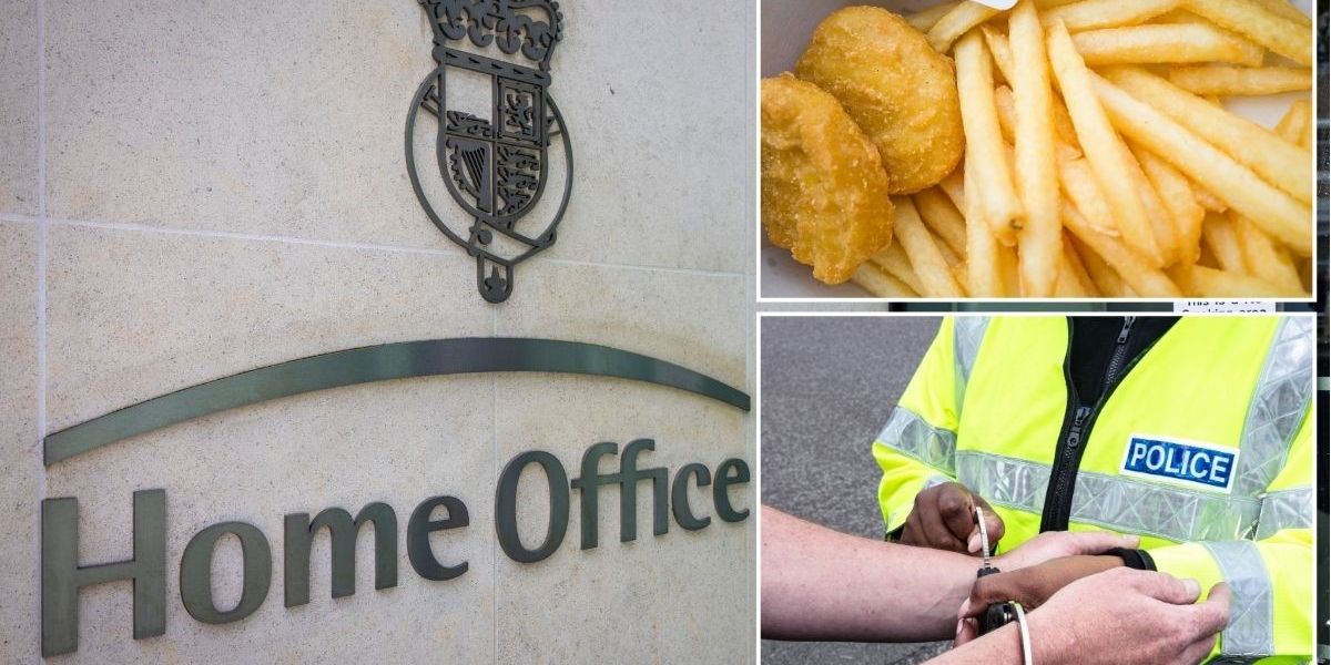 NextImg:Albanian criminal allowed to stay in Britain due to son's dislike of 'foreign' chicken nuggets