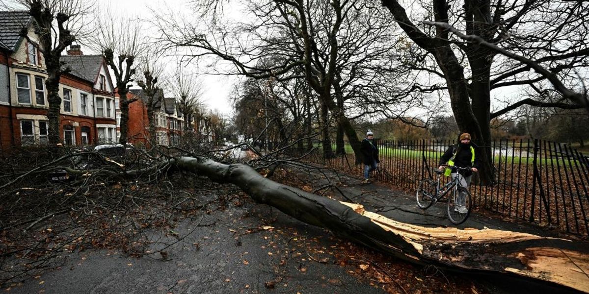 NextImg:Storm Darragh deemed 'not a storm' by insurance company who refuse to pay out man who had his house damaged by 53mph winds