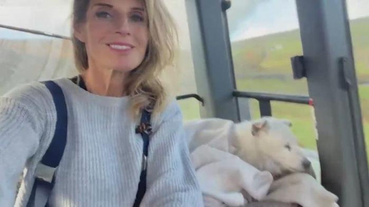 Welsh widow meets guide dog 'grandpups' continuing late husband’s legacy