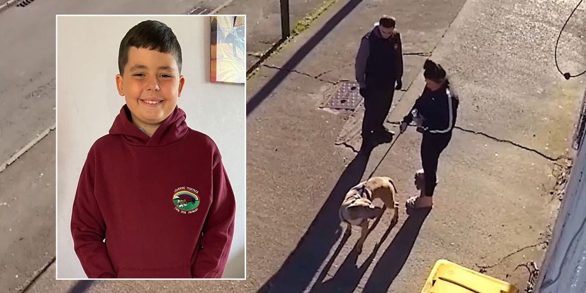 NextImg:XL Bully dog attack on boy leaves police officer traumatised as he 'thinks of chaotic scene most days'