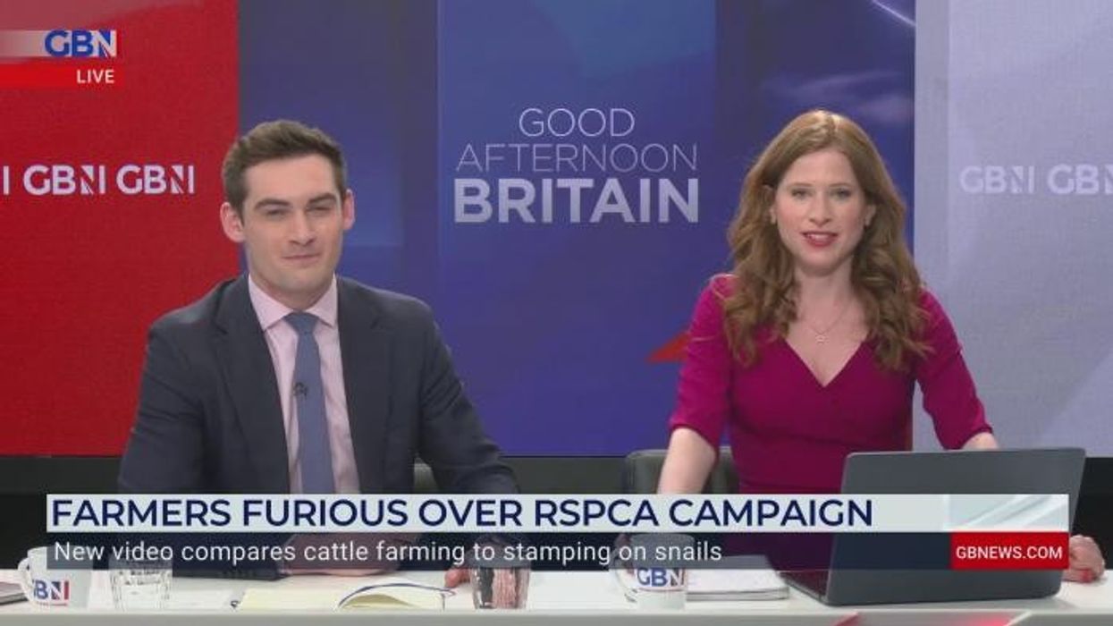 Man charged after 37 dead dogs found at Essex 'rescue centre'