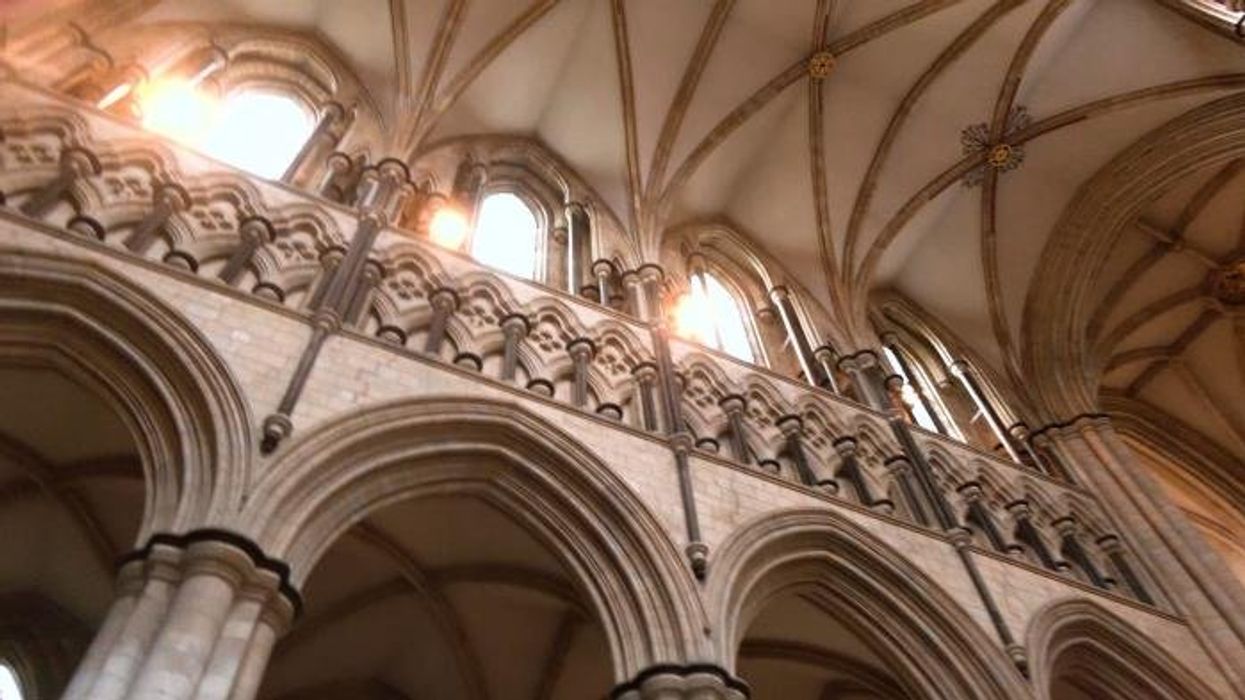 Christmas cancelled as UK to face tree shortage - Britons urged to act swiftly