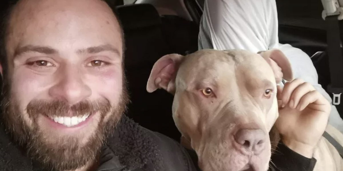NextImg:XL Bully dog owner blasts police for 'murdering' his pet after vicious attack