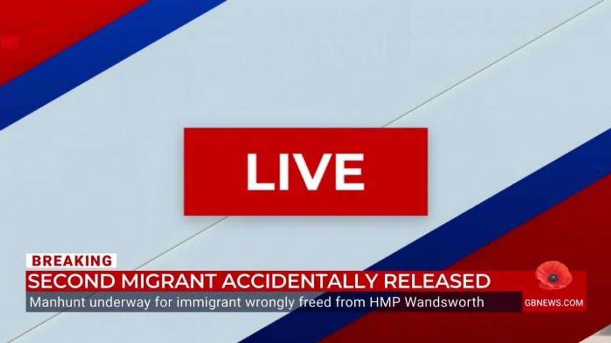 'The public sector is INFECTED!' Retired detective pins blame on diversity schemes after accidental release of foreign prisoner
