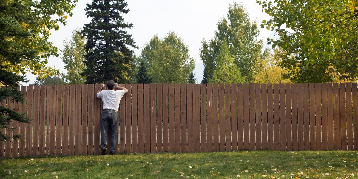 NextImg:Woman outraged after neighbour ruined her hedge and installed fence – then had gall to demand £3,000
