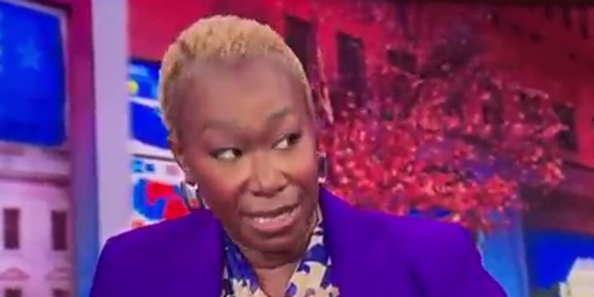 NextImg:Liberal left go into MELTDOWN as MSNBC anchor launches tirade against 'fascist' Florida