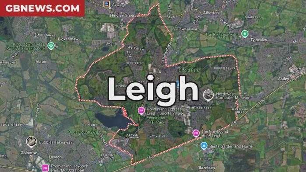 Centuries-old ash wins Tree of the Year 2025 - after 'expert panel' ignored it